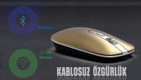 INCA IWM-531RS Bluetooth & Wireless Rechargeable Silent Mouse KABLOSUZ MOUSE